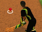 Arcade River cricket batter challenge