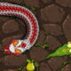 Arcade River snake attack