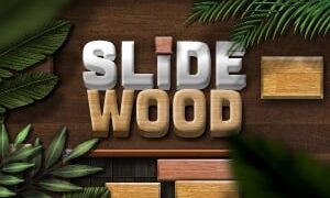 Arcade River slide wood